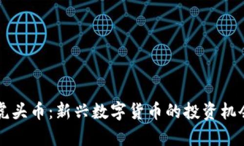 Title: 虚拟虎头币:新兴数字货币的投资机会与风险分析