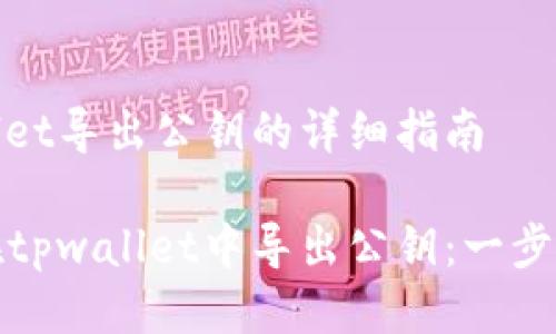 tpwallet导出公钥的详细指南
如何在tpwallet中导出公钥:一步步指南
