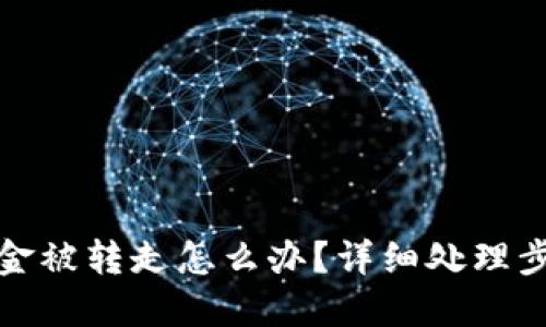 TP钱包资金被转走怎么办？详细处理步骤与建议