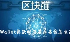 TPWallet收款时没有币名该怎