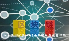 什么是NBC虚拟币？全面解