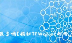 : TPWallet用户最多吗？揭秘