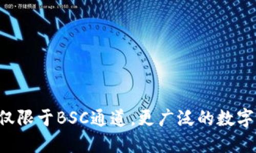 TPWallet：不仅限于BSC通道，更广泛的数字资产管理平台
