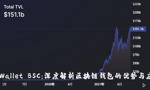 TPWallet BSC：深度解析区块链钱包的优势与应用