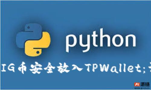 如何将PIG币安全放入TPWallet：详细指南