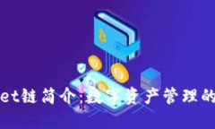 TPWallet链简介：数字资产管