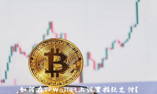 
如何在TPWallet上设置指纹支付？