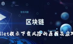 tpwallet提示下载风险的原因