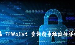 如何在 TPWallet 查询持币地