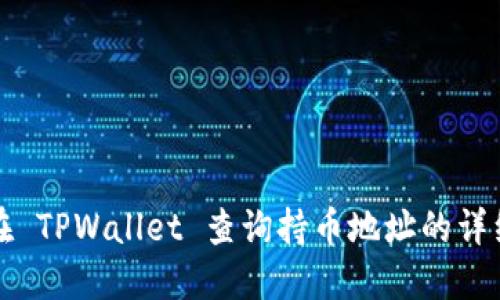 如何在 TPWallet 查询持币地址的详细指南