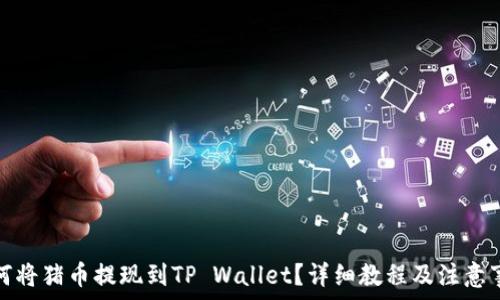   
如何将猪币提现到TP Wallet？详细教程及注意事项