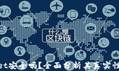 tpwallet安全吗？全面分析其