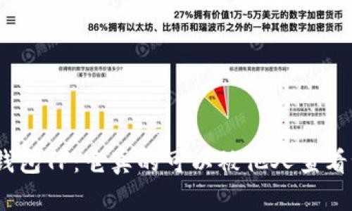 : 钱包TP：它真的可以被他人查看吗？