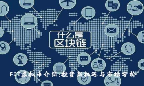 FIT虚拟币介绍：投资新机遇与市场分析