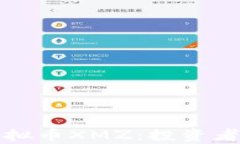 深入解析虚拟币XMZ：投资