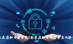 什么是虚拟币资本方？投