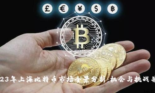 2023年上海比特币市场全景分析：机会与挑战并存