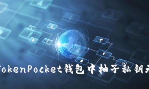 如何解决TokenPocket钱包中柚子私钥无效的问题