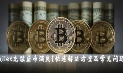 TPWallet充值后币消失？快速