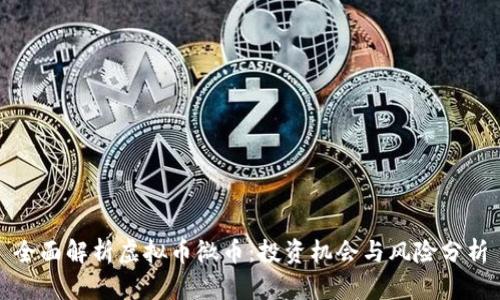 全面解析虚拟币微币：投资机会与风险分析