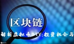深度解析虚拟币BTY：投资