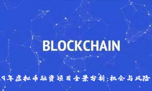 2019年虚拟币融资项目全景分析：机会与风险并存
