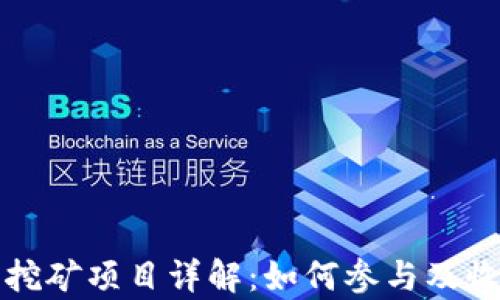 
TP钱包挖矿项目详解：如何参与及收益分析