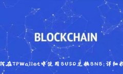 如何在TPWallet中使用BUSD兑