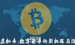 Steele虚拟币：数字货币的