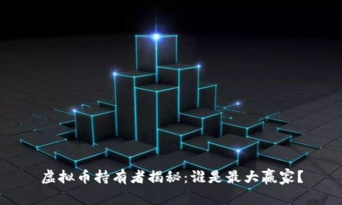 虚拟币持有者揭秘：谁是最大赢家？
