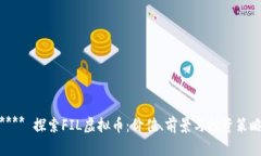 **** 探索FIL虚拟币：价值、