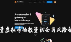 稀量虚拟币的投资机会与