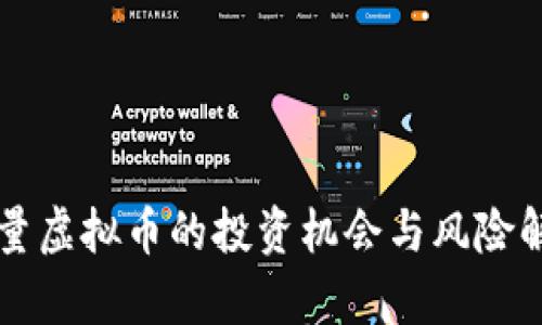 稀量虚拟币的投资机会与风险解析