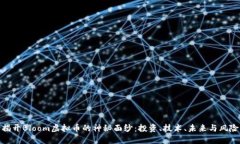 揭开Bloom虚拟币的神秘面纱