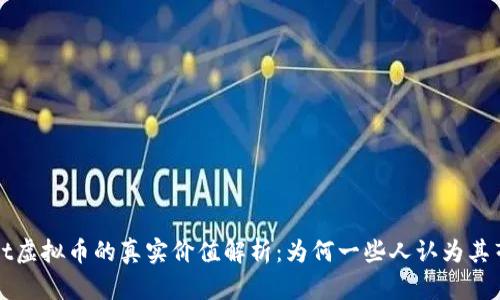 TPWallet虚拟币的真实价值解析：为何一些人认为其毫无价值