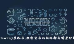 FlowPay虚拟币：数字货币的