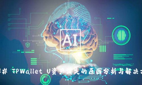 ### TPWallet U资产消失的原因分析与解决方案