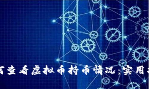 如何查看虚拟币持币情况：实用指南