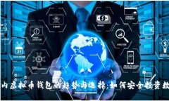 探索国内虚拟币钱包的趋