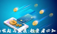 虚拟山寨币的崛起与发展