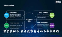 雷登虚拟币：未来数字货