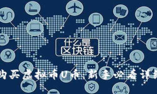 思考:

如何购买虚拟币U币：新手必看详细指南