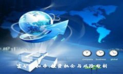 富矿虚拟币：投资机会与