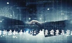 深入解析虚拟币LEMD：投资