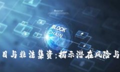 虚拟币项目与非法集资：