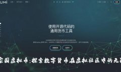星空家园虚拟币：探索数