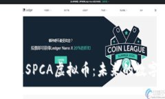 思考一个且的，放进SPCA虚