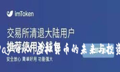 探索PayTenX：虚拟货币的未来与投资机会