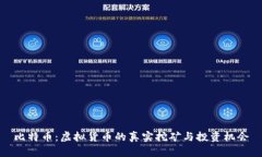 比特币：虚拟货币的真实