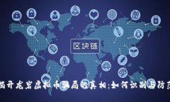 揭开龙岩虚拟币骗局的真